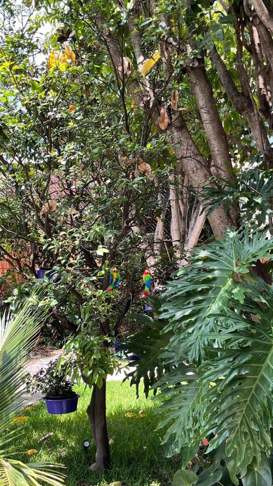 דירות טפוזטלן Casa Calnacazco מראה חיצוני תמונה